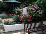 best_western_burns_hotel_garden_big