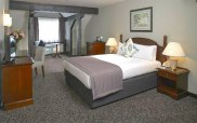 copthorne_gatwick_hotel_double2