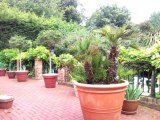 hayesthorpe_hotel_croydon_garden1_big