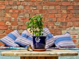 kentish_rooms_table