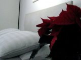 park_house_serviced_apartments_double3_big