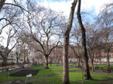 tavistock_square_london_x3