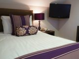the_lawn_guest_house_single1_big
