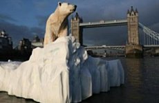 Polar Bears Float Down the Thames