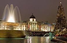 Christmas Starts Here as Trafalgar Square Tree is Raised.