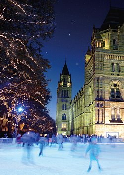 Natural History Museum Ice Rink