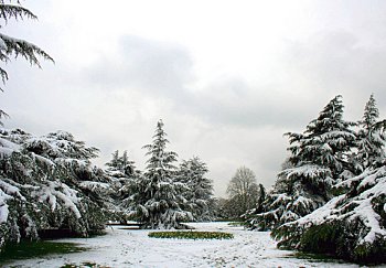 Greenwich Park, London. Photo Credit: law_keven. C.C.License