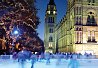 Ice Skating in London. Natural History Museum Ice Rink.