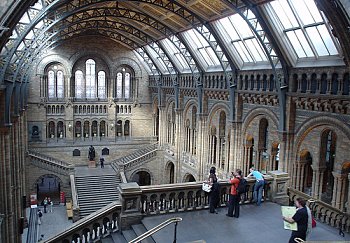 Natural History Museum. Photo Credit: srboisvert. C.C.License