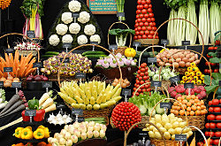 RHS Chelsea Flower Show