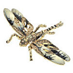 Dragonfly Brooch. Miss Selfridge