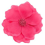 Pink Large Flower Corsage. Miss Selfridge.