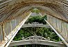 Kew Gardens Palm House, London. Photo Credit: mattk1979. C.C.License