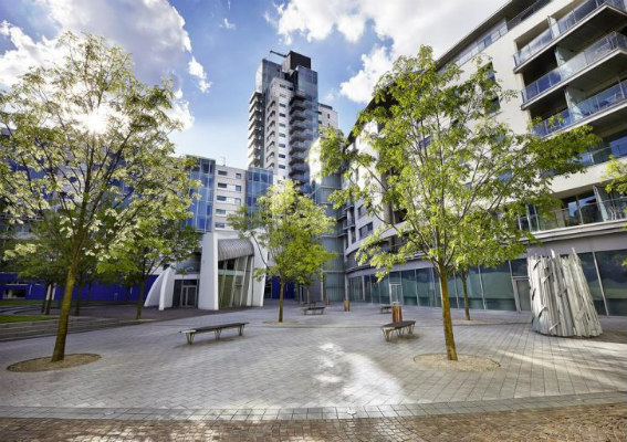 Marlin Apartments Empire Square Marlin Apartments Empire Square