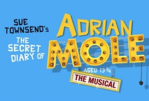 The Secret Diary of Adrian Mole aged 13 3/4