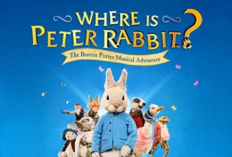 Where is Peter Rabbit?