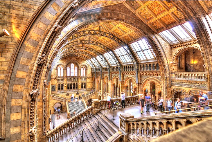 Croydon Natural History and Scientific Society Museum ...