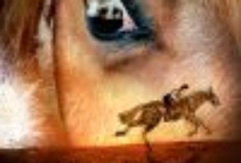 War Horse: London, New London Theatre – London Theatre Tickets