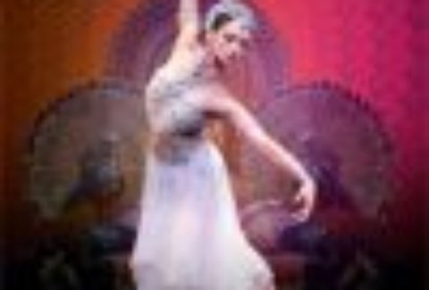 Irina Kolesnikova Season – La Bayadere, London Coliseum – London Theatre Tickets