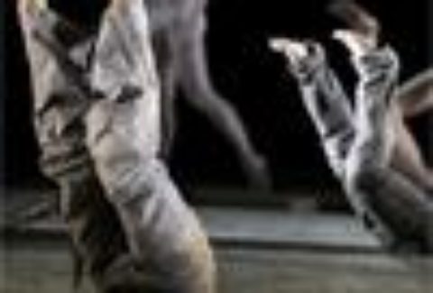 Puzzle, Sadler’s Wells – London Theatre Tickets