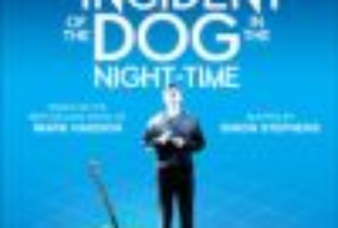 The Curious Incident of the Dog in the Night-Time, Gielgud Theatre – London Theatre Tickets