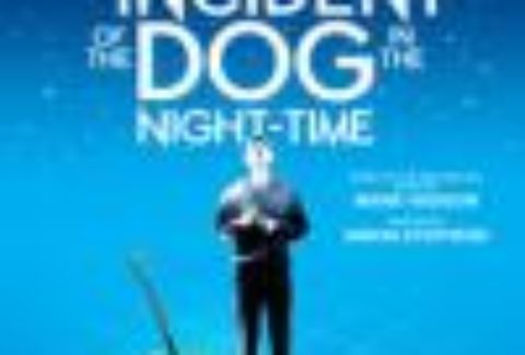 The Curious Incident of the Dog in the Night-Time, Apollo Theatre – London Theatre Tickets