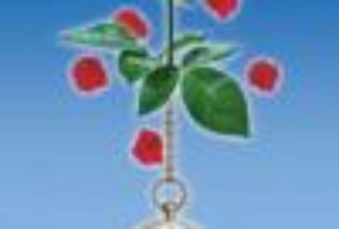 Beulah, Arts Theatre – London Theatre Tickets