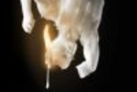 Edward II, Olivier Theatre – London Theatre Tickets