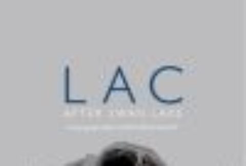 LAC (After Swan Lake), London Coliseum – London Theatre Tickets