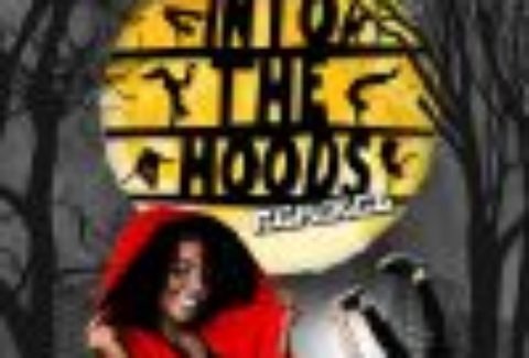 Zoo Nation: Into the Hoods, Peacock Theatre – London Theatre Tickets