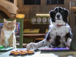 Gwen (voiced by Melissa Rauch) and Roger (Max Greenfield) in Cats & Dogs: Paws Unite!, directed by Sean McNamara. Photo: Ryan Plummer. Copyright: 2020 Warner Bros. Entertainment Inc. All Rights Reserved.