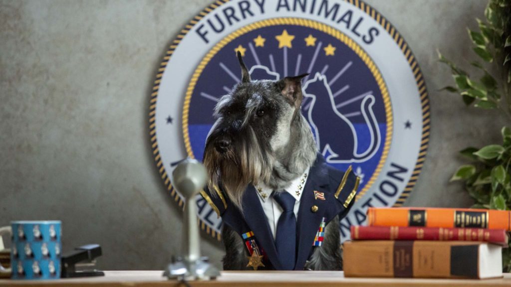 Schnauzer (voiced by Noel Johansen) in Cats & Dogs: Paws Unite!, directed by Sean McNamara. Photo: Ryan Plummer. Copyright: 2020 Warner Bros. Entertainment Inc. All Rights Reserved.