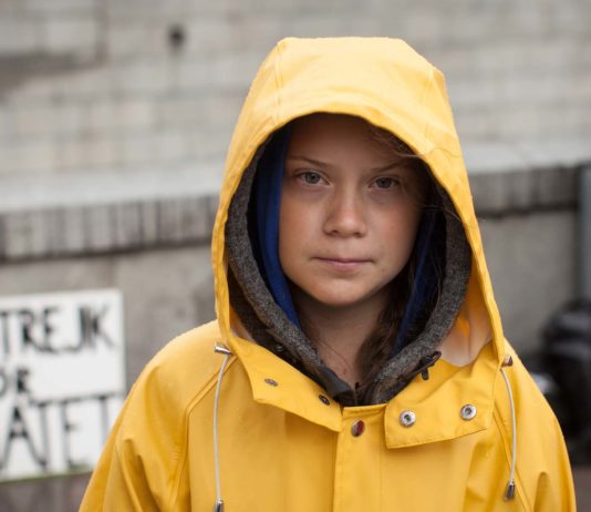 Greta Thunberg in I Am Greta, directed by Nathan Grossman. Copyright: Dogwoof. All Rights Reserved.