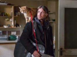 Bob the cat as himself and Luke Treadaway as James Bowen in A Christmas Gift From Bob. Photo: Andreas Lambis. Copyright: Lionsgate Films. All Rights Reserved.