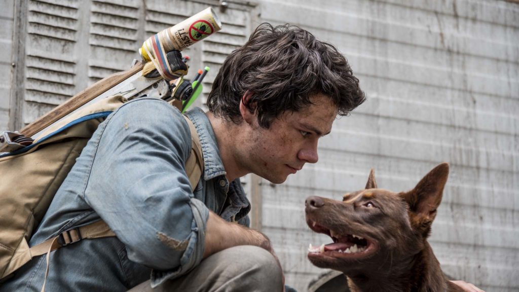 Dylan O'Brien as Joel Dawson and Boy the dog in Love And Monsters, directed by Michael Matthews. Photo: Jasin Boland. Copyright: 2019 Paramount Players, a division of Paramount Pictures. All Rights Reserved.