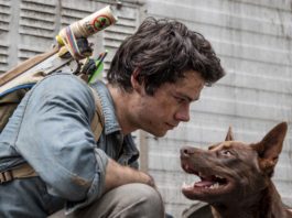 Dylan O'Brien as Joel Dawson and Boy the dog in Love And Monsters, directed by Michael Matthews. Photo: Jasin Boland. Copyright: 2019 Paramount Players, a division of Paramount Pictures. All Rights Reserved.