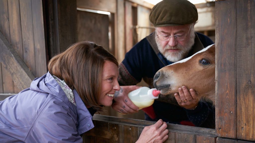 Toni Collette as Jan Vokes and Owen Teale as Brian Vokes in Dream Horse, directed by Euros Lyn. Photo: Kerry Brown. Copyright: Warner Bros. Entertainment Inc. All Rights Reserved.
