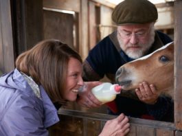 Toni Collette as Jan Vokes and Owen Teale as Brian Vokes in Dream Horse, directed by Euros Lyn. Photo: Kerry Brown. Copyright: Warner Bros. Entertainment Inc. All Rights Reserved.