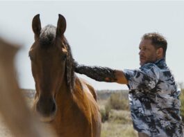 Tom Hardy as Eddie Brock/Venom in Venom: The Last Dance, directed by Kelly Marcel. Copyright: CTMG, Inc. All Rights Reserved.