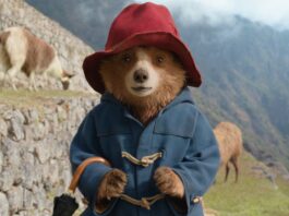 Paddington (voiced by Ben Whishaw) in Paddington In Peru, directed by Dougal Wilson. Copyright: StudioCanal. All Rights Reserved.
