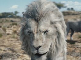 Kiros (voiced by Mads Mikkelson) in Mufasa: The Lion King, directed by Barry Jenkins. Copyright: Disney Enterprises, Inc. All Rights Reserved.