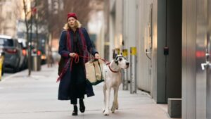 Naomi Watts as Iris and Bing in The Friend, directed by Scott McGehee and David Siegel. Photo: Matt Infante. Copyright: Bleecker Street. All Rights Reserved.