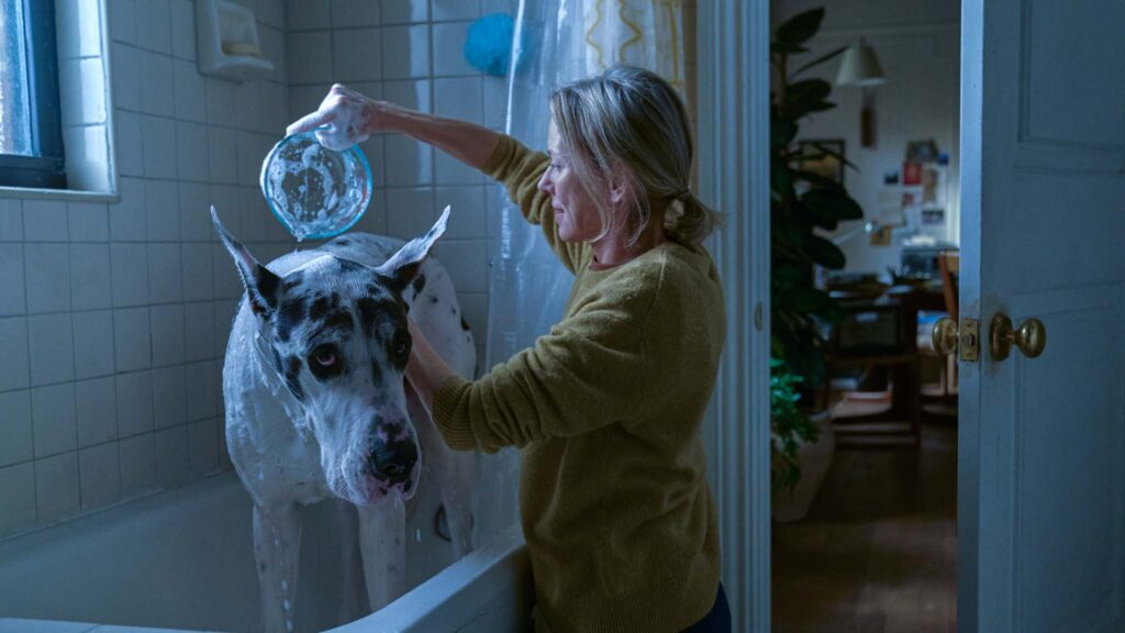 Bing and Naomi Watts as Iris in The Friend, directed by Scott McGehee and David Siegel. Photo: Matt Infante. Copyright: Bleecker Street. All Rights Reserved.