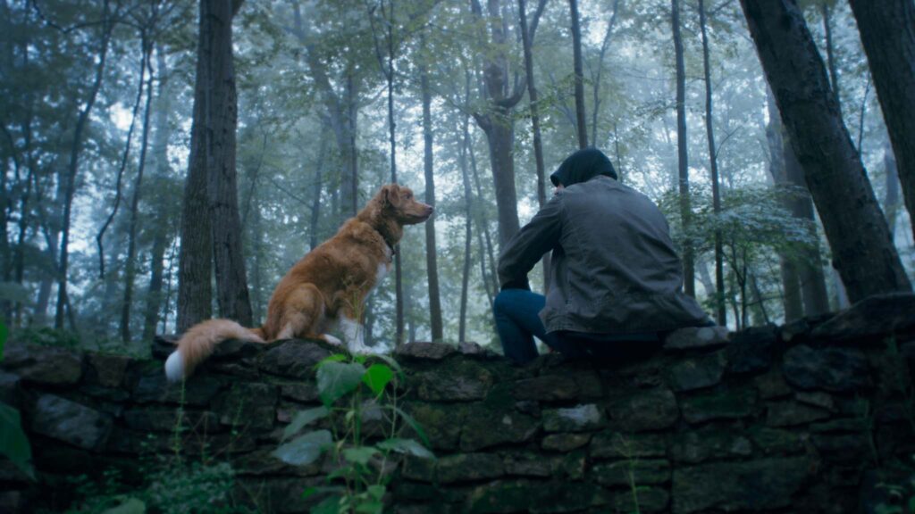 Indy as Indy and Shane Jensen as Todd in Good Boy, directed by Ben Leonberg. Copyright: Vertigo Releasing. All Rights Reserved.