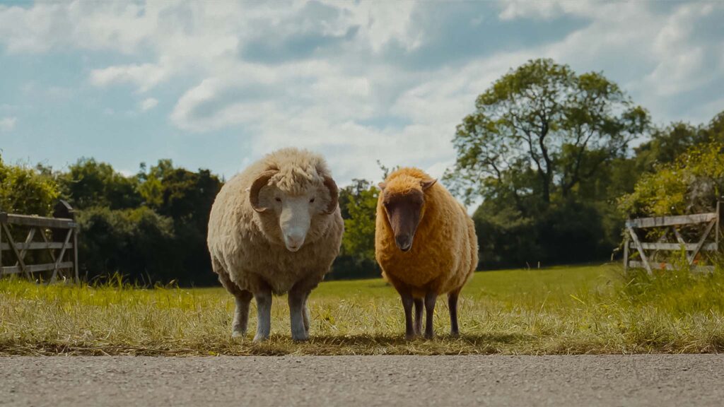 Mopple (voiced by Chris O’Dowd) and Lily (Julia Louis-Dreyfus) in The Sheep Detectives, directed by Kyle Balda. Copyright Amazon Content Services LLC. All Rights Reserved.
