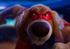 Film Review of the Week 18 May 2026 Charlie the Wonderdog (voiced by Owen Wilson) in Charlie The Wonderdog, directed by Shea Wageman. Copyright: Altitude Film Distribution. All Rights Reserved.