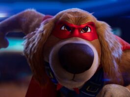 Charlie the Wonderdog (voiced by Owen Wilson) in Charlie The Wonderdog, directed by Shea Wageman. Copyright: Altitude Film Distribution. All Rights Reserved.