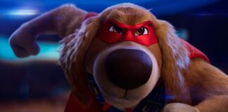 Charlie the Wonderdog (voiced by Owen Wilson) in Charlie The Wonderdog, directed by Shea Wageman. Copyright: Altitude Film Distribution. All Rights Reserved.