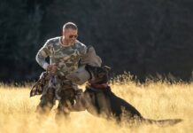 Brad Pitt as James Belmont and Odin in Heart Of The Beast. Photo: Scott Garfield. Copyright: 2026 Paramount Pictures. All Rights Reserved.