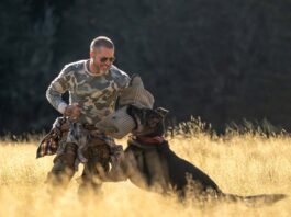 Brad Pitt as James Belmont and Odin in Heart Of The Beast. Photo: Scott Garfield. Copyright: 2026 Paramount Pictures. All Rights Reserved.